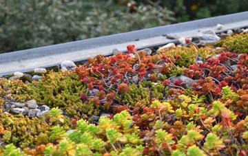 the cost of Stromness green roof installation