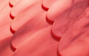 Stromness plastic roof costs