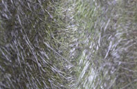 Stromness fibreglass roof work